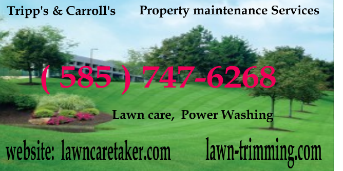 Avatar for Tripp's & Carroll's Property Maintenance Services